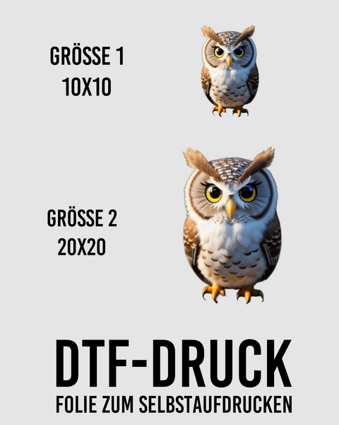 DTF-Druck (953 Eule)
