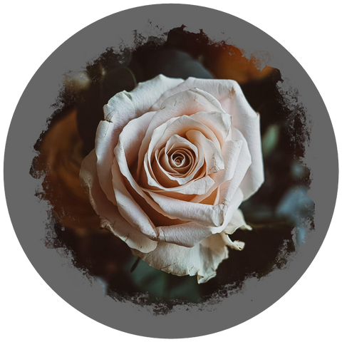 Filz-Untersetzer "Blume" – Nicole Sponner Fotografie